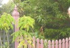 Casuarina NSWplants-57.jpg; ?>